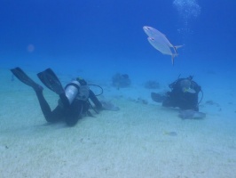 078 Stingray City IMG 6020